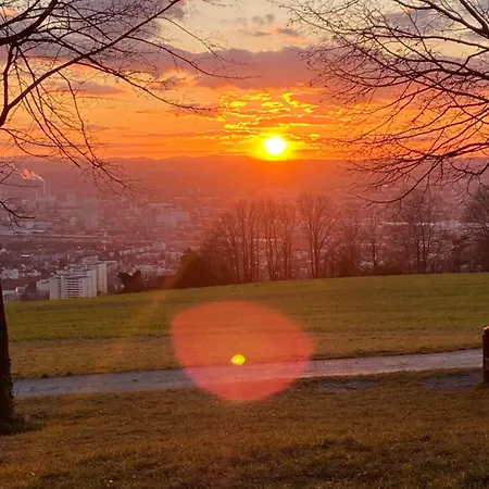 Gemuetlich Wohnen Nahe Basel